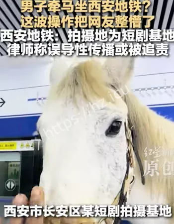 男子牵马乘地铁